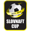 Copa Eslovaquia 2021