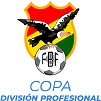 copa-division-profesional